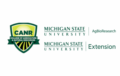 MSU Image.png
